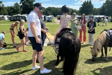 Ponnyridning
