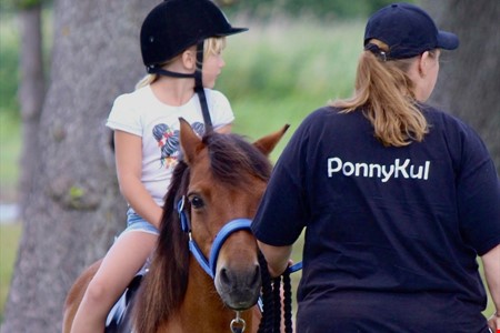 Ponnyridning