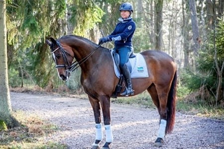 Hästen på Semestern