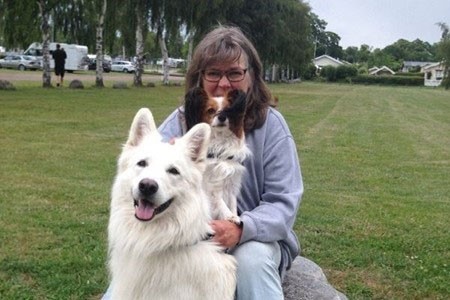 Hundkurser